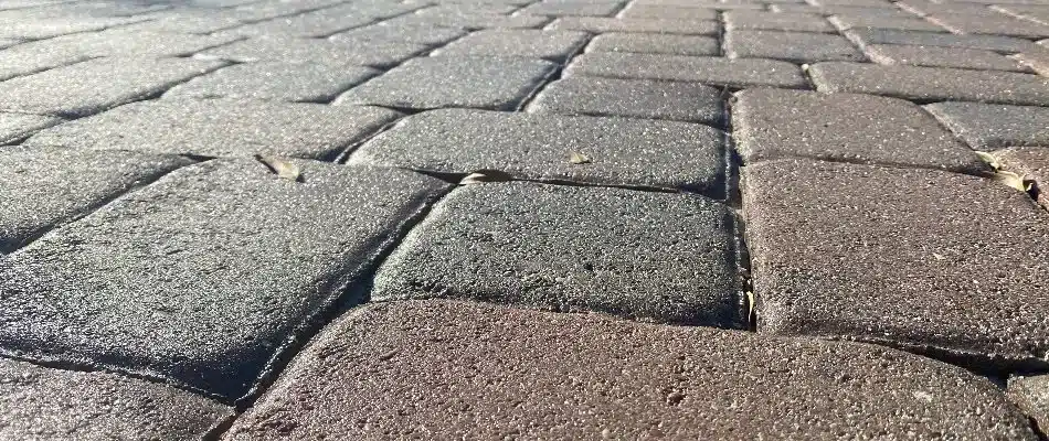 content close up of pavers