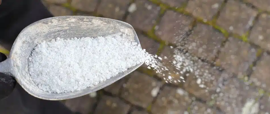 Deicing salt being poured over a walkway in Grand Rapids, MI.