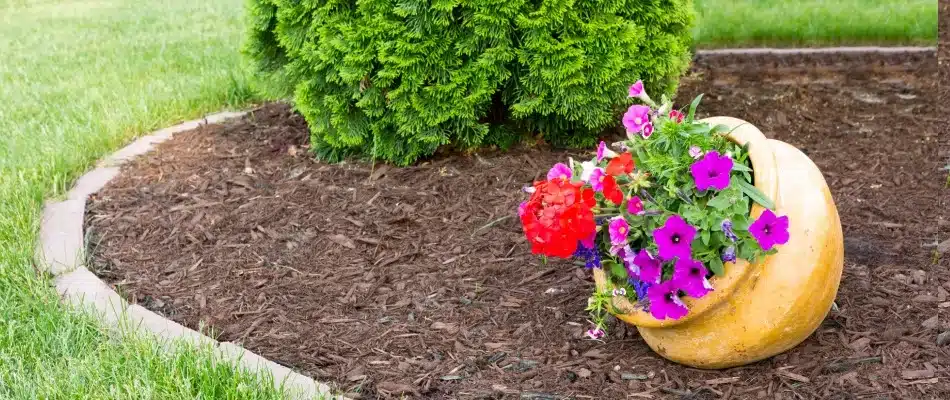 Landscape bed edged with stone in Cannon Township, MI.