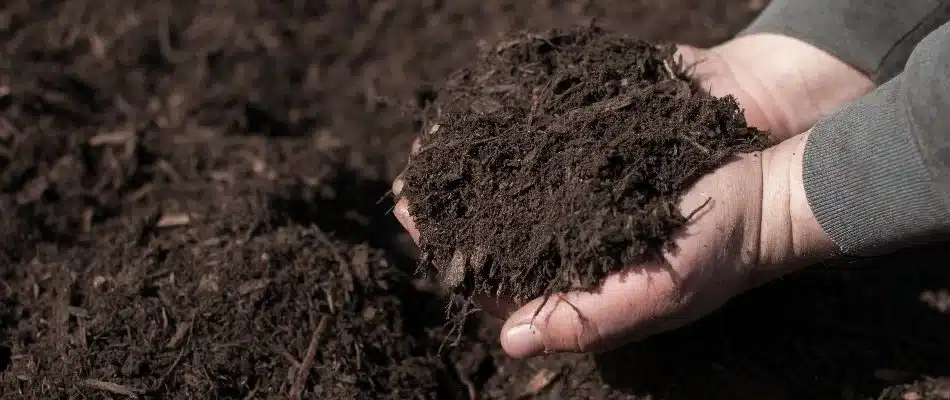 content hands holding brown mulch
