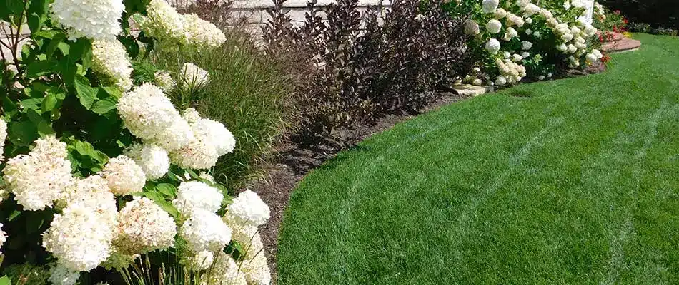 Landscape bed with blooming flowers and freshly mowed lawn in Grandville, MI.