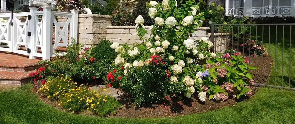 Landscape plantings installed in bed for a client in Allendale Charter Township, MI.