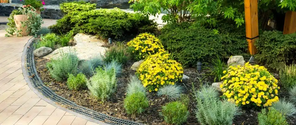 Strategically placed plants in landscape bed with mulch in Grand Rapids, MI.