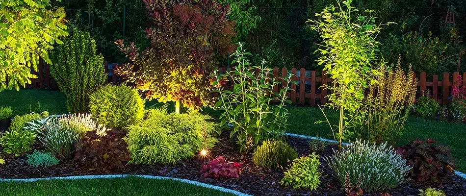 Landscape bed with LED lighting in Holland, MI.