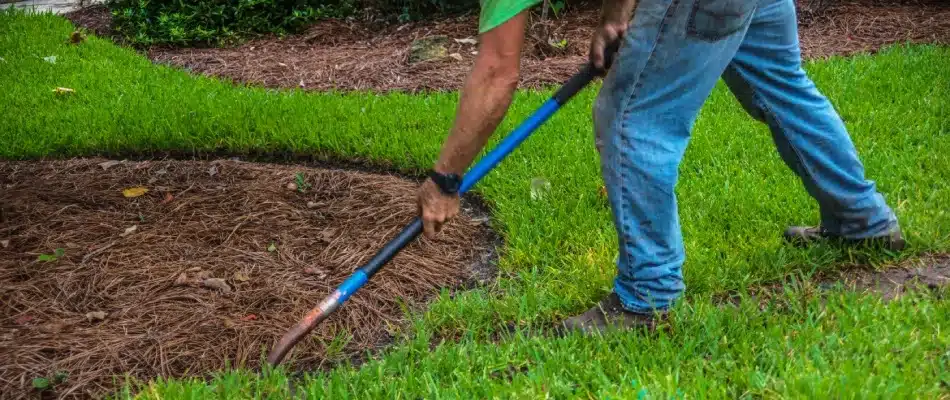 Professional edging a landscape bed in Grandville, MI.
