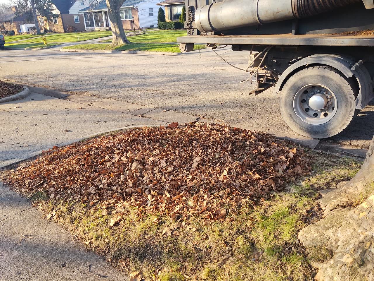 Loose leaves gathered at the street edge beside Rose's pickup truck