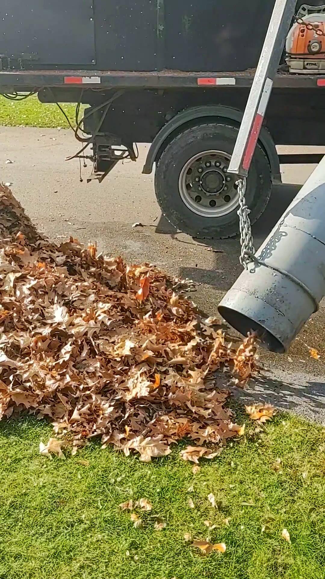 The truck’s vacuum hose pulling in a pile of dry leaves at the road edge